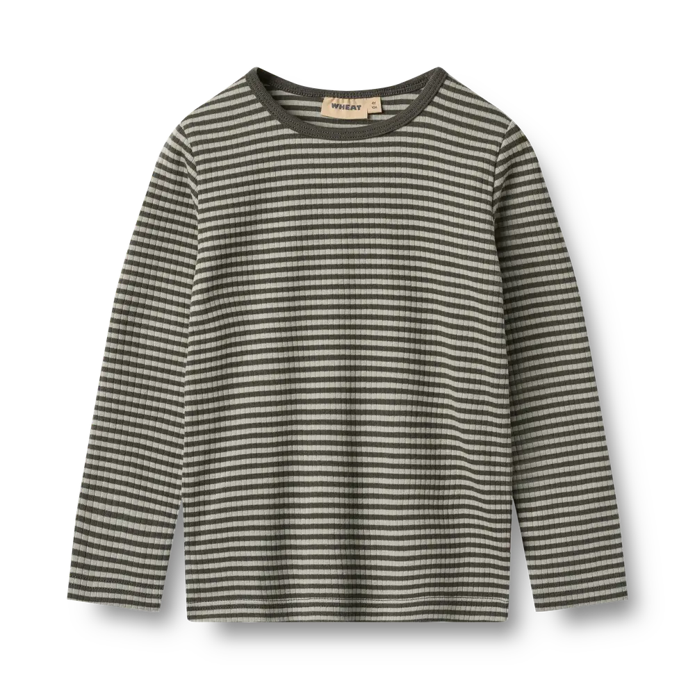 Stig T-shirt Langærmet - Winter Forest Stripe - 2 år
