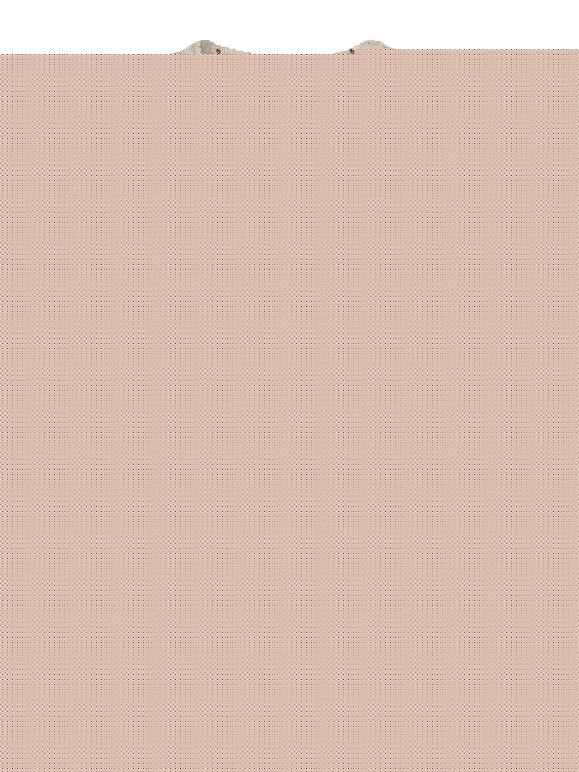 Lil Atelier Gago Slim Body Med Mariehøne - Baked Clay - 56 Cm